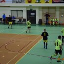fina13 86